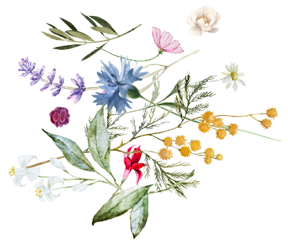 Scattered flowers illustration